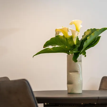 Center With Private Garage بولا