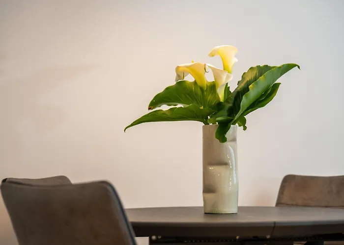 Center With Private Garage بولا